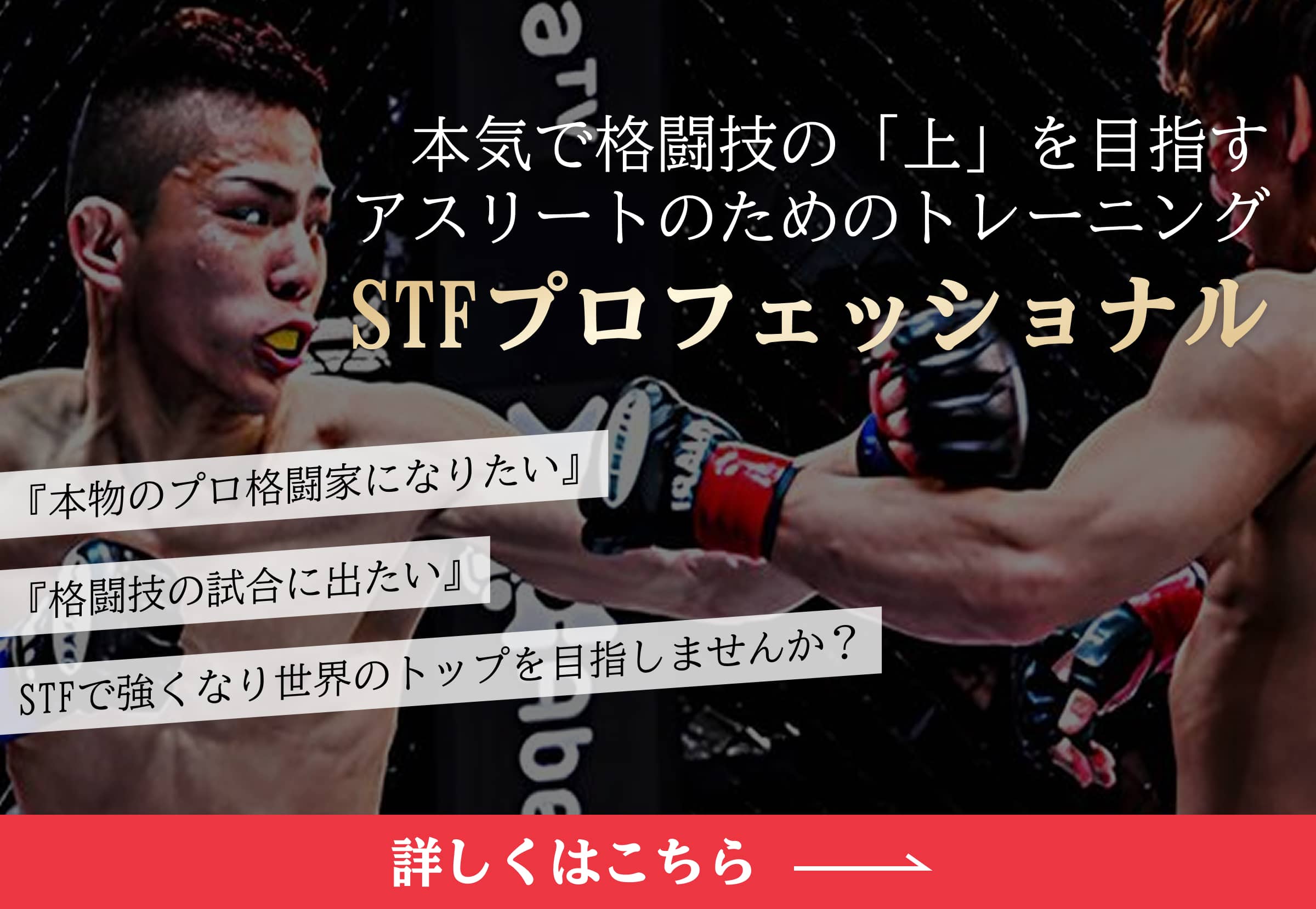 プロを目指す格闘家向けの育成プログラム「STFプロフェッショナル」の告知画像。詳しくはこちらと書かれた誘導リンク付き